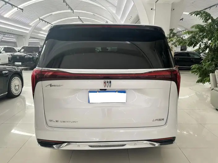 Century 2023 Model 2.0T VII seat Yunshi Edition – фото 5