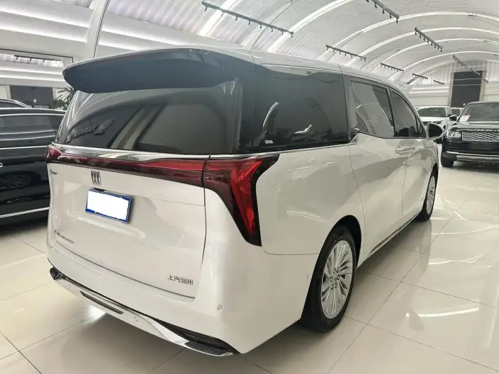 Century 2023 Model 2.0T VII seat Yunshi Edition – фото 6