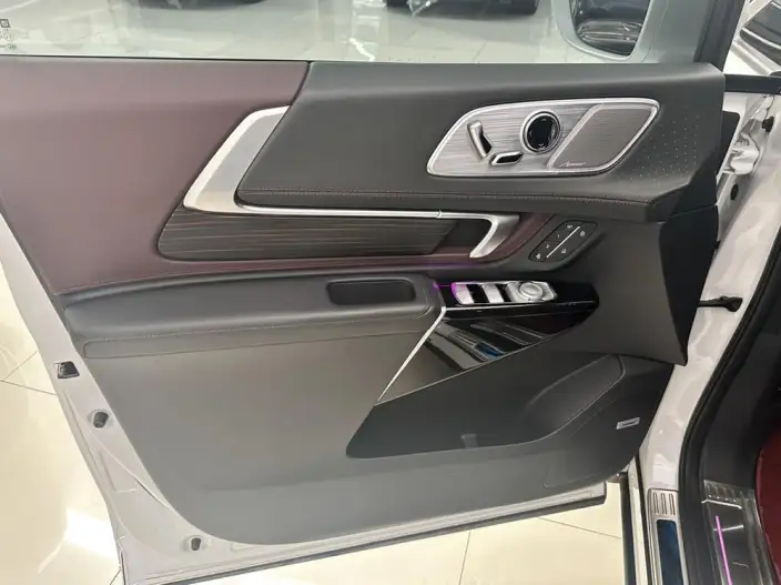 Century 2023 Model 2.0T VII seat Yunshi Edition – фото 7