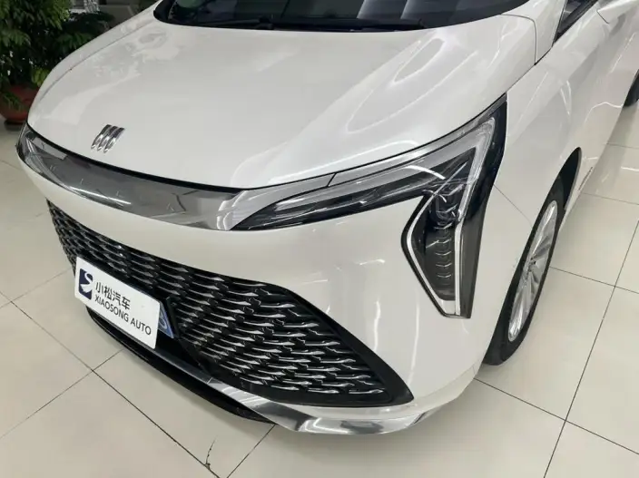 Century 2023 Model 2.0T VII seat Yunshi Edition – фото 8