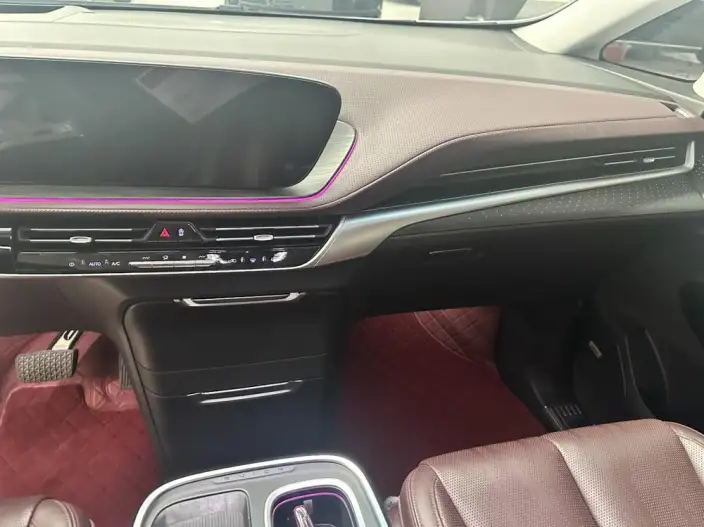 Century 2023 Model 2.0T VII seat Yunshi Edition – фото 10