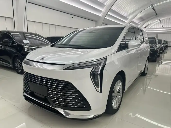 Century 2025 Model 2.0T VI seat Yunshi Edition – фото 1