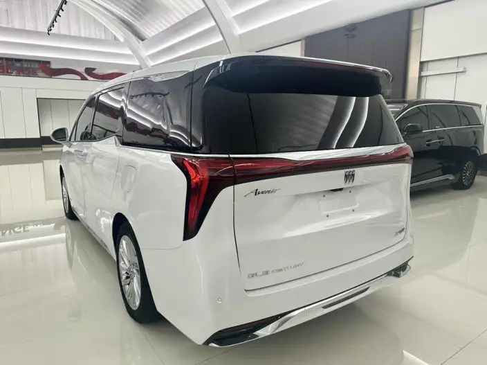 Century 2025 Model 2.0T VI seat Yunshi Edition – фото 3