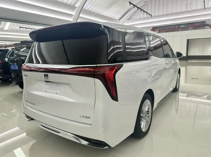 Century 2025 Model 2.0T VI seat Yunshi Edition – фото 5