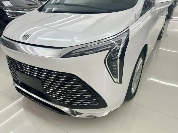 Century 2025 Model 2.0T VI seat Yunshi Edition – фото 6