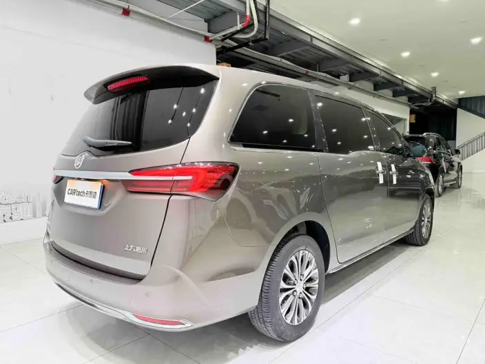Buick GL8 2023 Model Business class 2.0T Luxury Model – фото 6