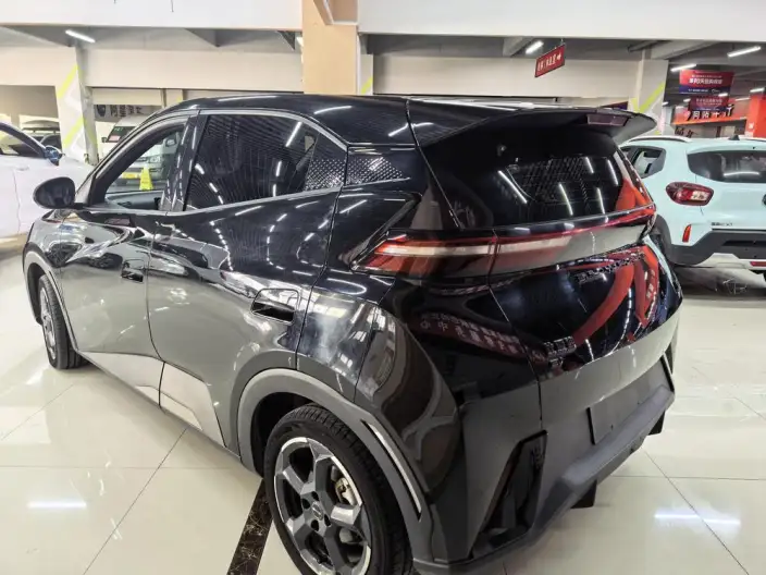 BYD Seagull 2023 Model Feixiang Edition – фото 4