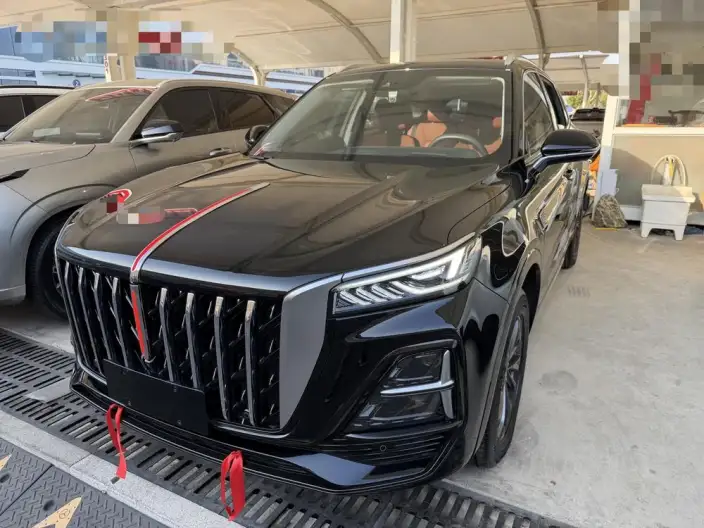 Hongqi HS5 2023 Model 2.0T Flag Xiang Pro Edition – фото 1
