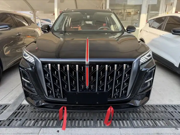Hongqi HS5 2023 Model 2.0T Flag Xiang Pro Edition – фото 2