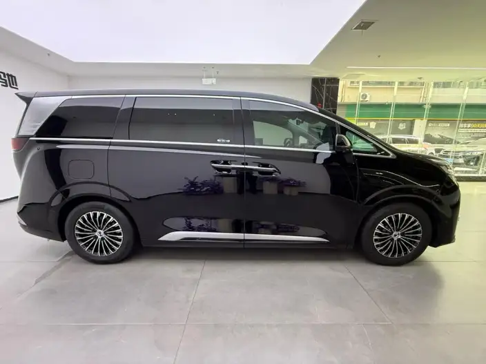 DENZA D9 DM 2022 Model 970 4WD Flagship Model – фото 7