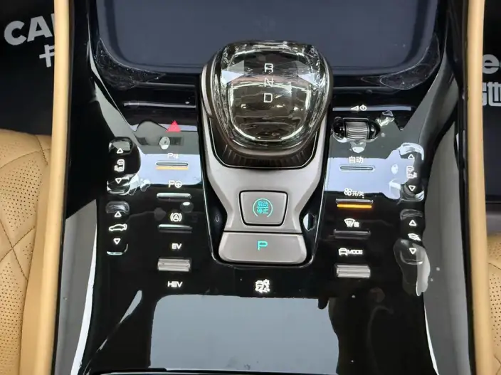 DENZA D9 DM 2022 Model 970 4WD Flagship Model – фото 8