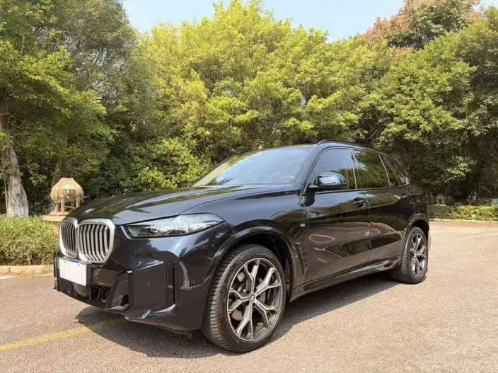 BMW X5 2023 Model xDrive30Li Exclusive Model M Sports Night Set – фото 1