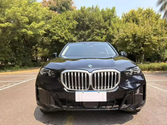 BMW X5 2023 Model xDrive30Li Exclusive Model M Sports Night Set – фото 2