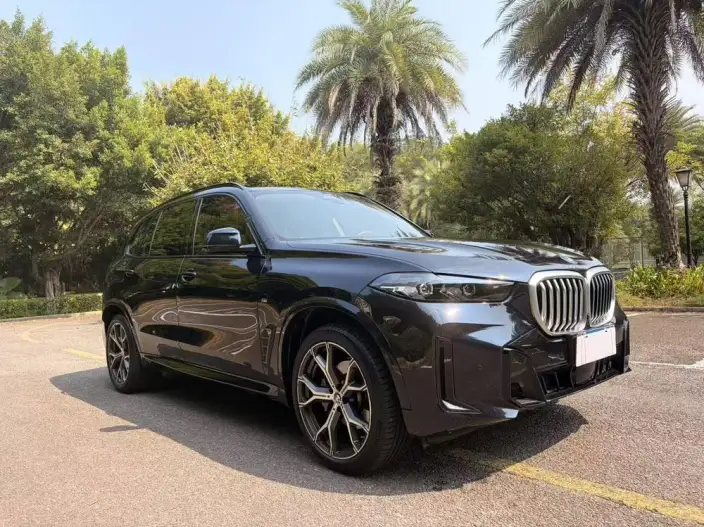 BMW X5 2023 Model xDrive30Li Exclusive Model M Sports Night Set – фото 3