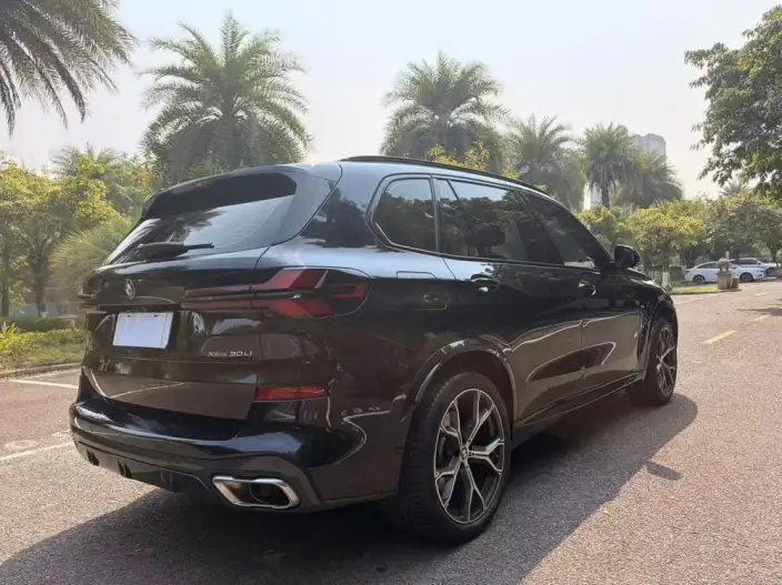 BMW X5 2023 Model xDrive30Li Exclusive Model M Sports Night Set – фото 7