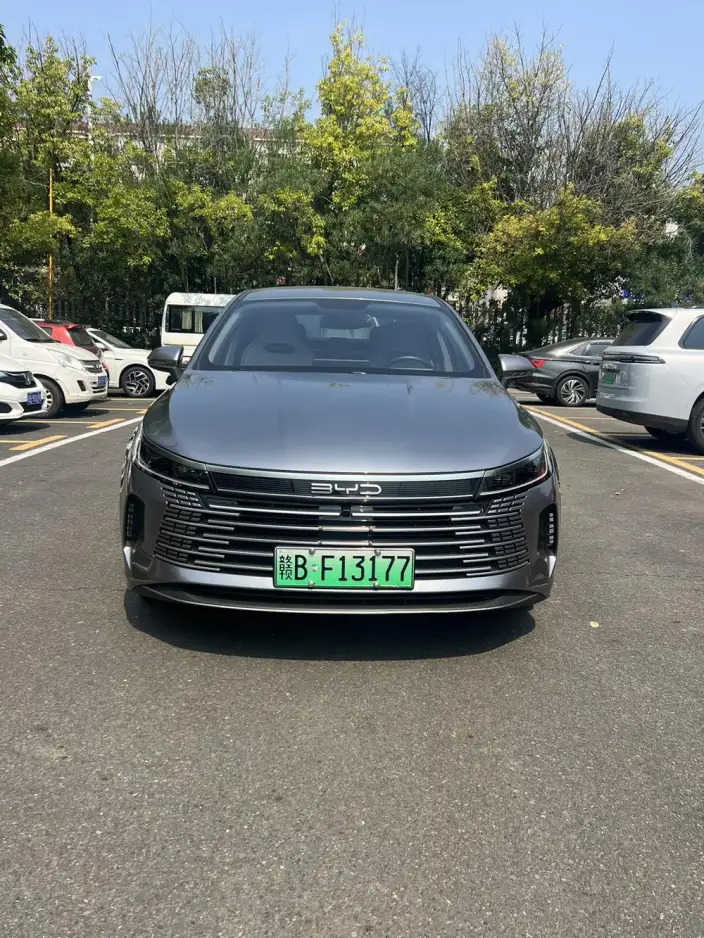 BYD Destroyer 05 2024 Model Honor Edition DM-i 55KM Luxury Model – фото 2