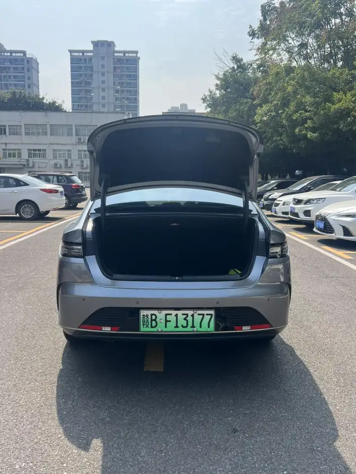 BYD Destroyer 05 2024 Model Honor Edition DM-i 55KM Luxury Model – фото 4