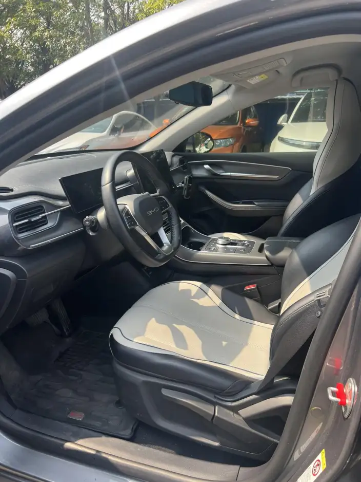BYD Destroyer 05 2024 Model Honor Edition DM-i 55KM Luxury Model – фото 8
