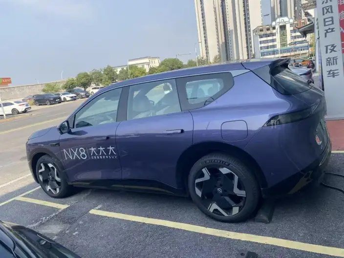 Nissan NX8 2026 Model EV 650 Max – фото 2