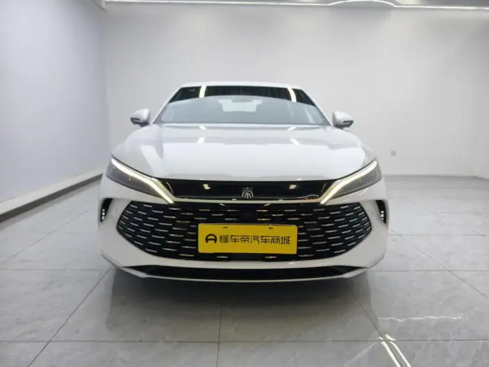 QinL DM 2025 Model Smart Driving Edition DM-i 120KM Leading Model – фото 2