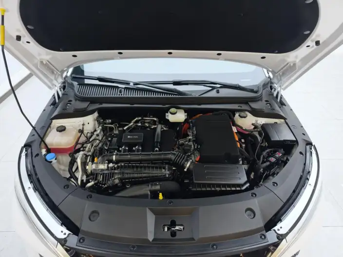 QinL DM 2025 Model Smart Driving Edition DM-i 120KM Leading Model – фото 10