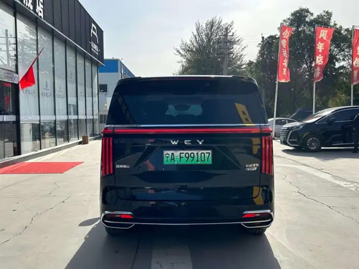 Wey Gaoshan P HEV 2023 Model 4WD Ultimate Edition – фото 5