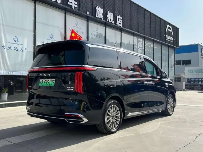 Wey Gaoshan P HEV 2023 Model 4WD Ultimate Edition – фото 6