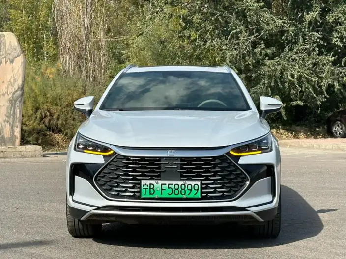 BYD Tang DM 2025 Model DM-i 115KM Zunrong Model – фото 2
