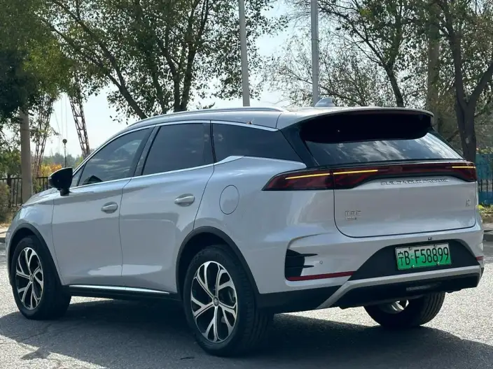 BYD Tang DM 2025 Model DM-i 115KM Zunrong Model – фото 4