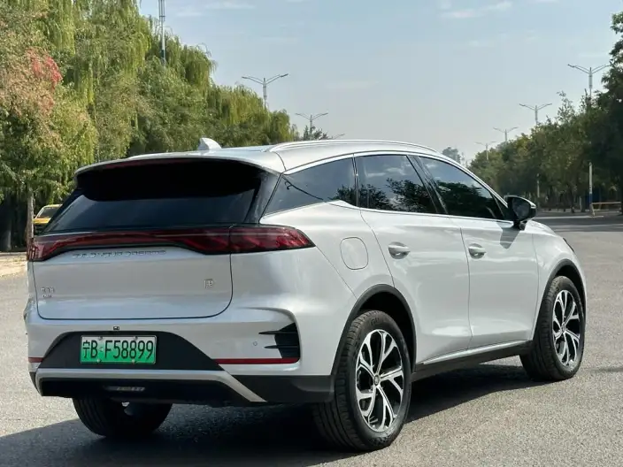 BYD Tang DM 2025 Model DM-i 115KM Zunrong Model – фото 6