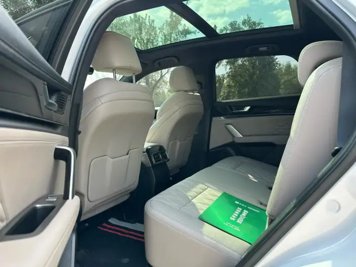 BYD Tang DM 2025 Model DM-i 115KM Zunrong Model – фото 9