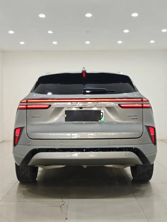 Mocha PHEV 2024 Model Hi4 Long Battery Life Pro Edition – фото 5