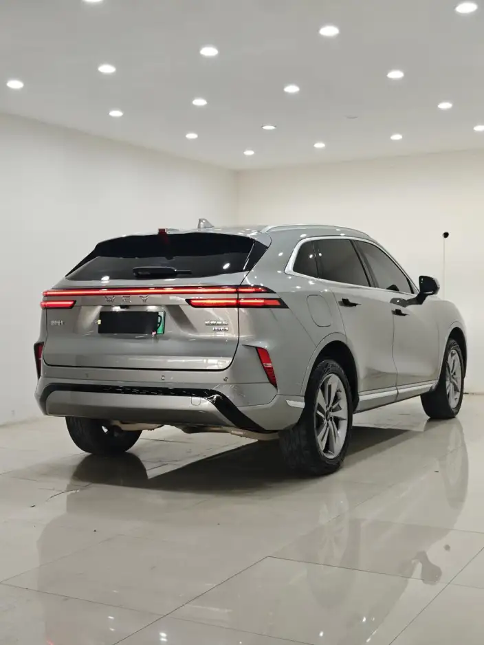 Mocha PHEV 2024 Model Hi4 Long Battery Life Pro Edition – фото 6