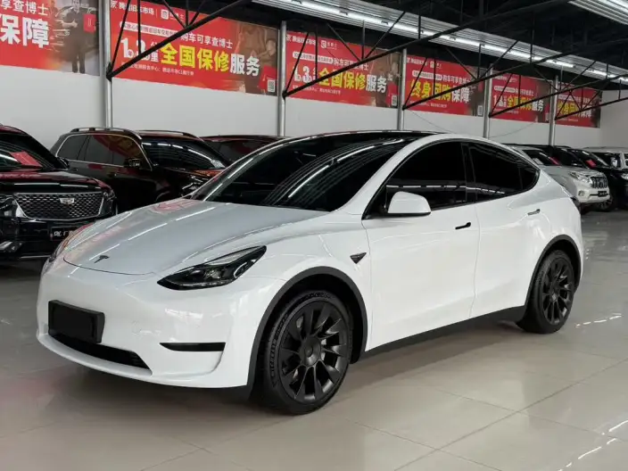 Model Y 2022 Model Facelift Rear-wheel drive version – фото 1
