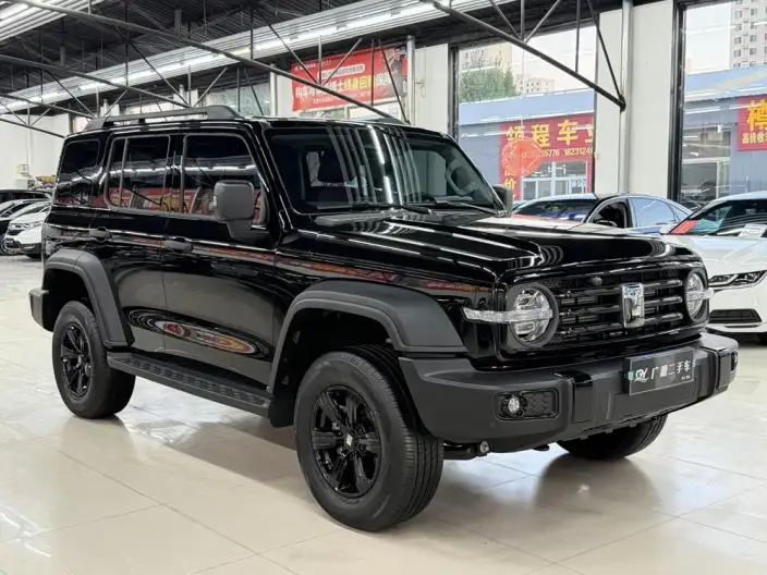 Tank 300 2025 Model 2.0T Gasoline Edition Challenger