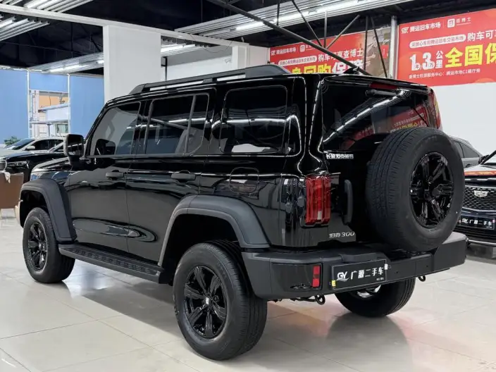 Tank 300 2025 Model 2.0T Gasoline Edition Challenger