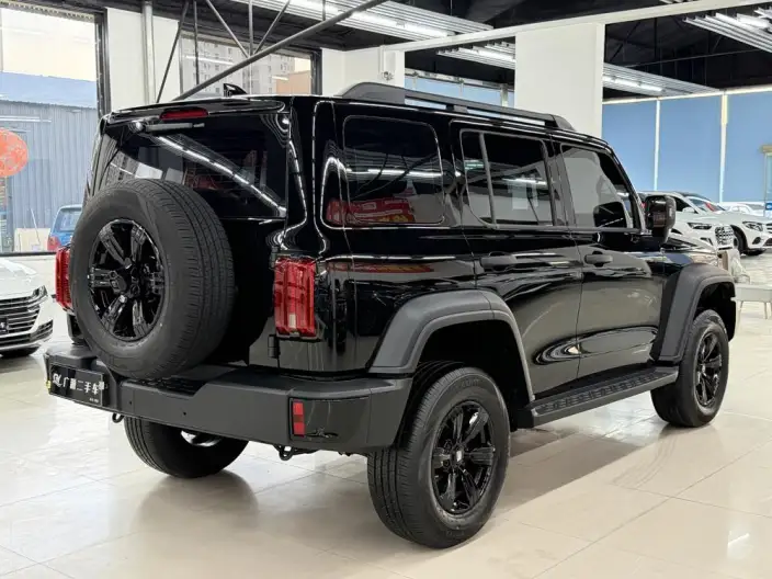 Tank 300 2025 Model 2.0T Gasoline Edition Challenger – фото 6