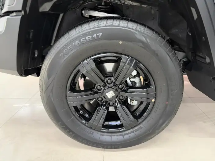 Tank 300 2025 Model 2.0T Gasoline Edition Challenger – фото 7