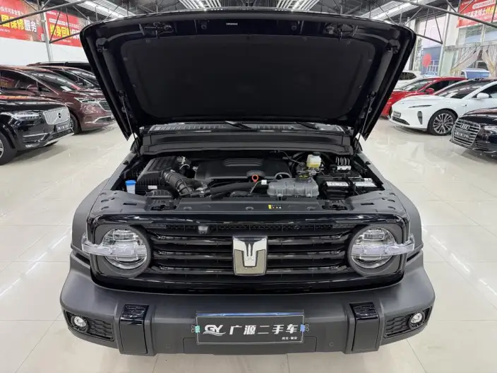 Tank 300 2025 Model 2.0T Gasoline Edition Challenger – фото 10