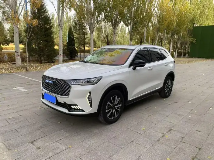 Haval H6 2024 Model 1.5T Automatic 2WD Classic Edition – фото 1