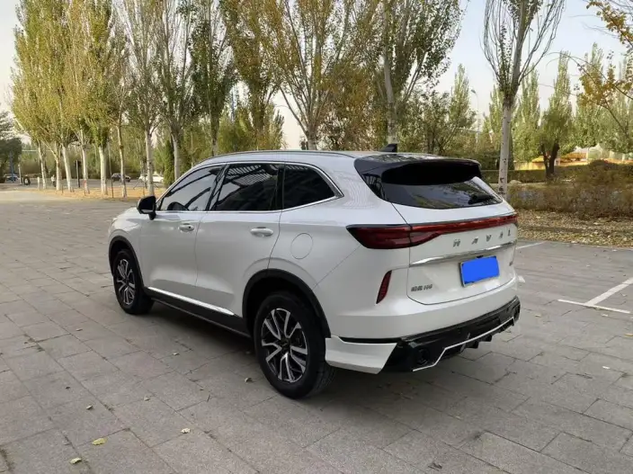 Haval H6 2024 Model 1.5T Automatic 2WD Classic Edition – фото 4