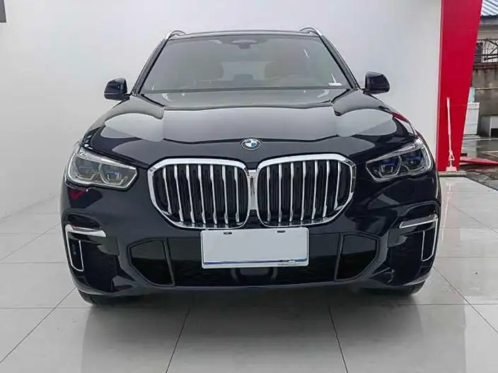 BMW X5 2022 Model Facelift xDrive 40Li Exclusive Model M Sports Set – фото 2