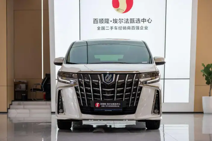Elfa 2021 Model Hybrid 2.5L Premium – фото 2