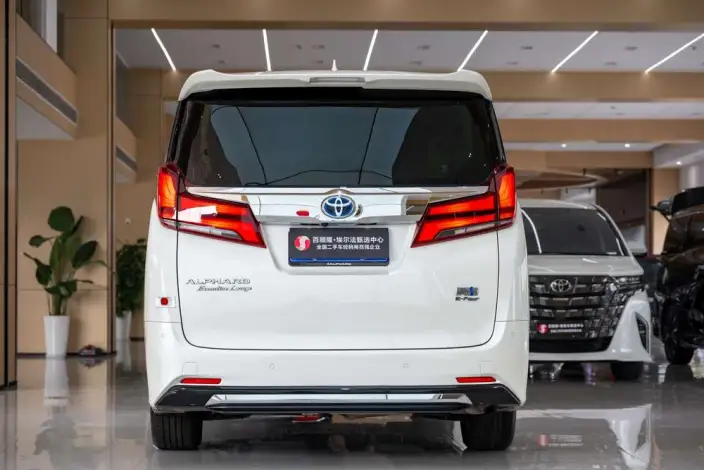Elfa 2021 Model Hybrid 2.5L Premium – фото 5