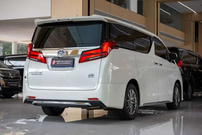 Elfa 2021 Model Hybrid 2.5L Premium – фото 6