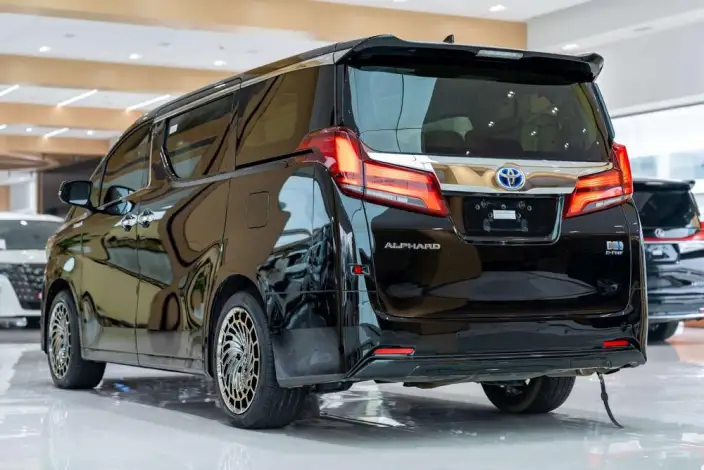 Elfa 2021 Model Hybrid 2.5L Deluxe Edition – фото 4