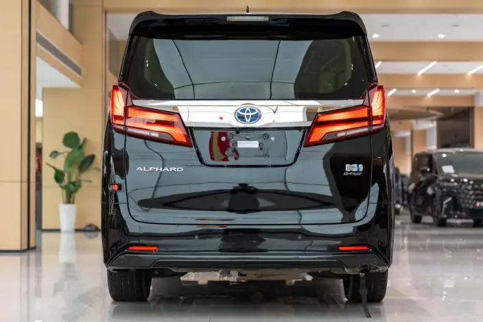 Elfa 2021 Model Hybrid 2.5L Deluxe Edition – фото 5