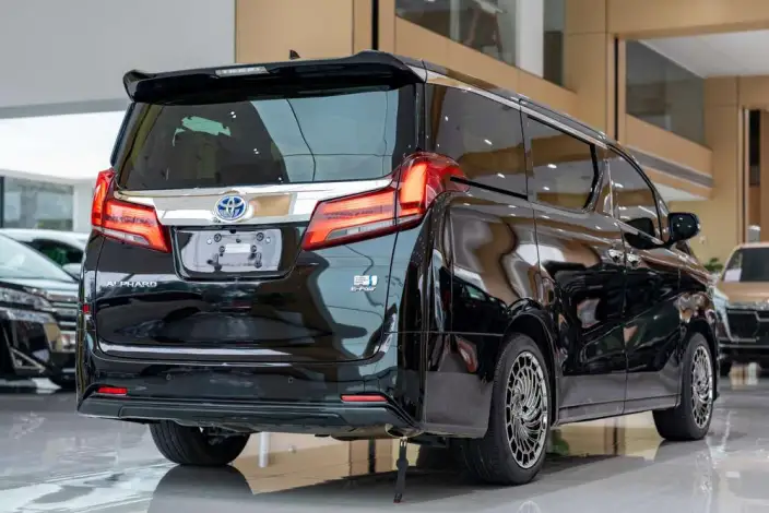 Elfa 2021 Model Hybrid 2.5L Deluxe Edition – фото 6