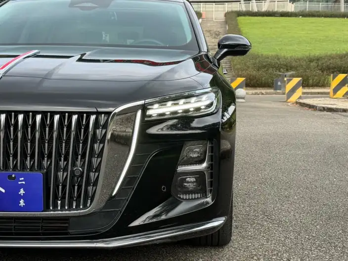 Hongqi H5 2023 Model 2.0T Automatic Flag Lead Edition – фото 8