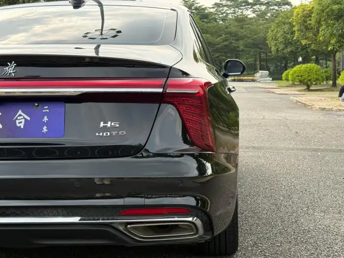 Hongqi H5 2023 Model 2.0T Automatic Flag Lead Edition – фото 10